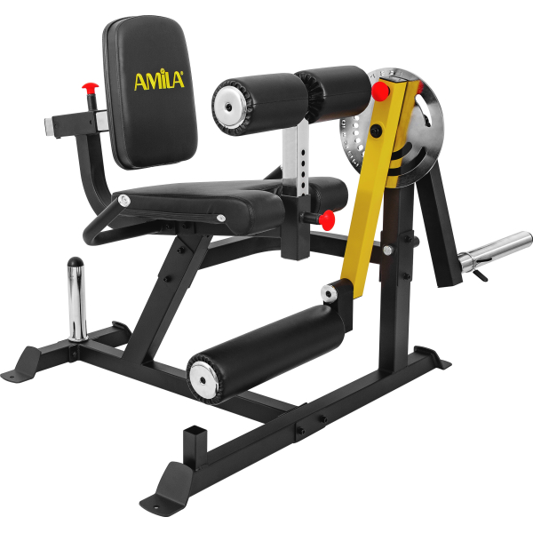Μηχάνημα Leg Curl / Leg Extension AMILA AX1030 - 93703