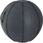 Κάλυμμα για Μπάλα Γυμναστικής AMILA GYMBALL 75cm - 95887